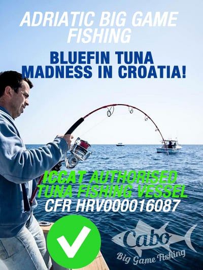 Iccat-tuna-maddness-croatia Iccat-tuna-maddness-croatia