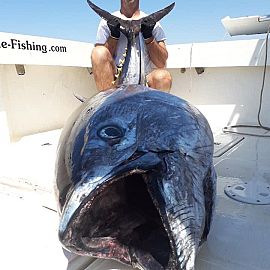 big game fishing Hrvatska