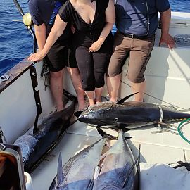 Big game fishing in Kroatien 2
