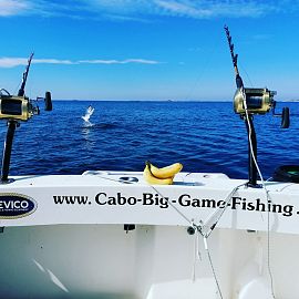 Sport fishing on the sea in Croatia