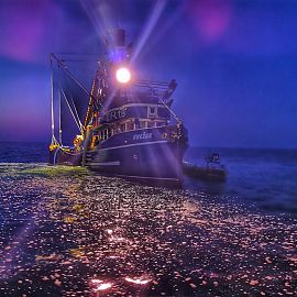 Night fishing on the sea