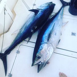 biggamefishing19