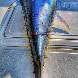 biggamefishing23