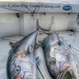 biggamefishing27