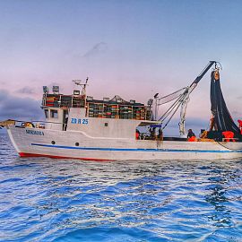 marlinfishing