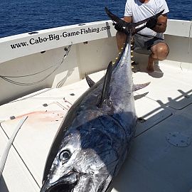 Deep sea fishing  Mediterranean