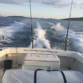 Brod za lov na tune Cabo BGF Vodice