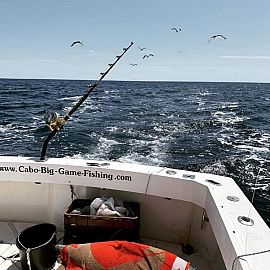 Fiskerieventyr i Kroatien