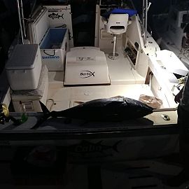 Natfiskeri i Kroatien