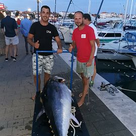 Riesen Thunfisch Vice und 120 kg tuna