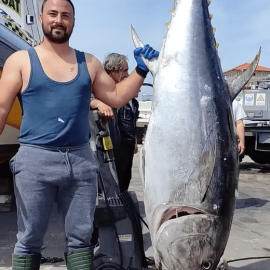 Riesige Tunafisch 160 kg CABO boot Vodice Kroatien