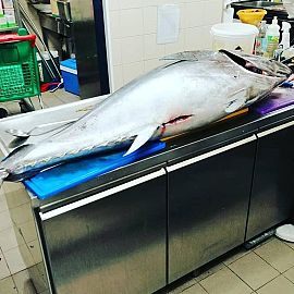 Tuna u hotelu Olimpia Sky, Vodice